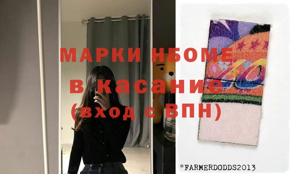 индика Баксан
