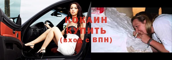 индика Баксан