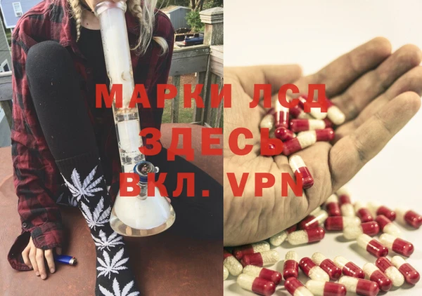 индика Баксан