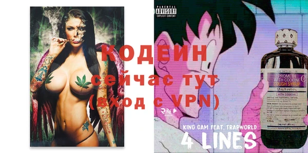 индика Баксан