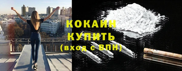 индика Баксан