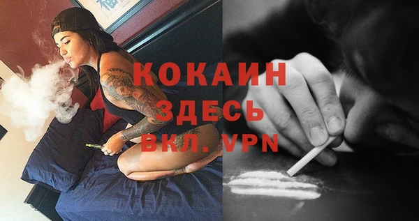 индика Баксан