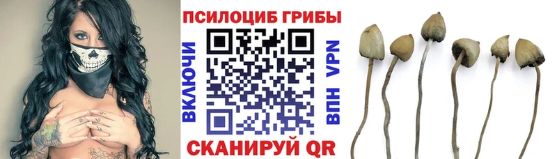 нарко площадка телеграм Ессентуки Галлюциногенные грибы Magic Shrooms