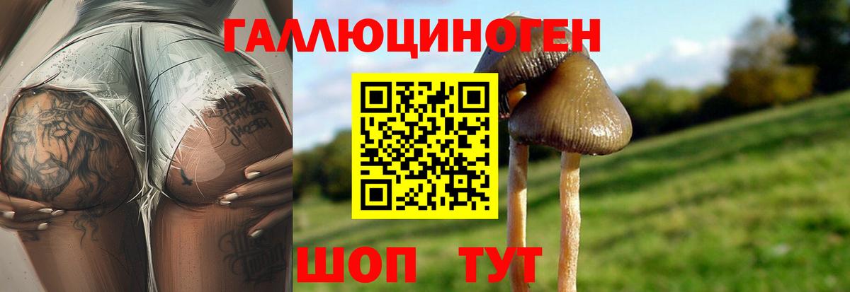 Галлюциногенные грибы Cubensis  Вход с VPN  Ессентуки  Псилоцибиновые грибы Magic Shrooms 
